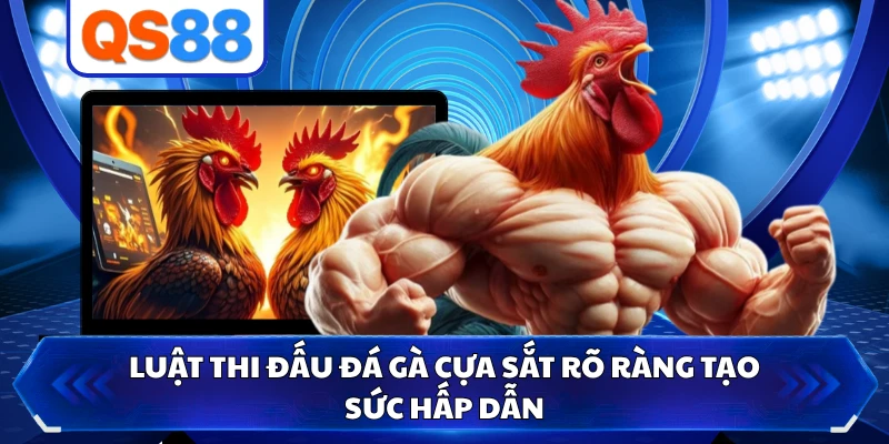 Luật thi đấu đá gà cựa sắt rõ ràng tạo sức hấp dẫn